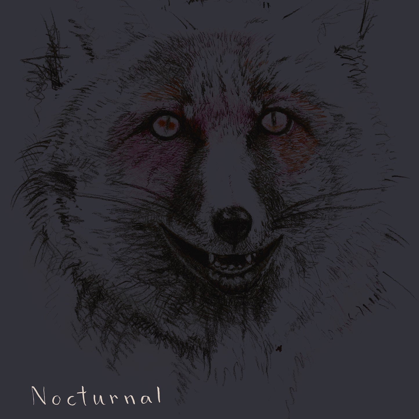 Zeuthen/Anderskov/Vestergaard: Nocturnal