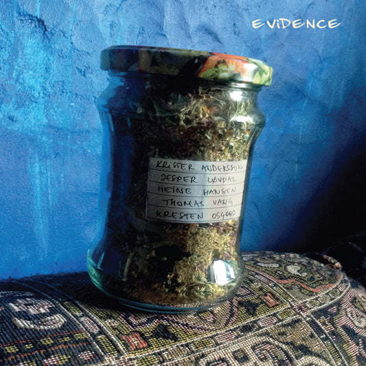 Andersson/Løvdal/Hansen/Vang/Osgood – Evidence