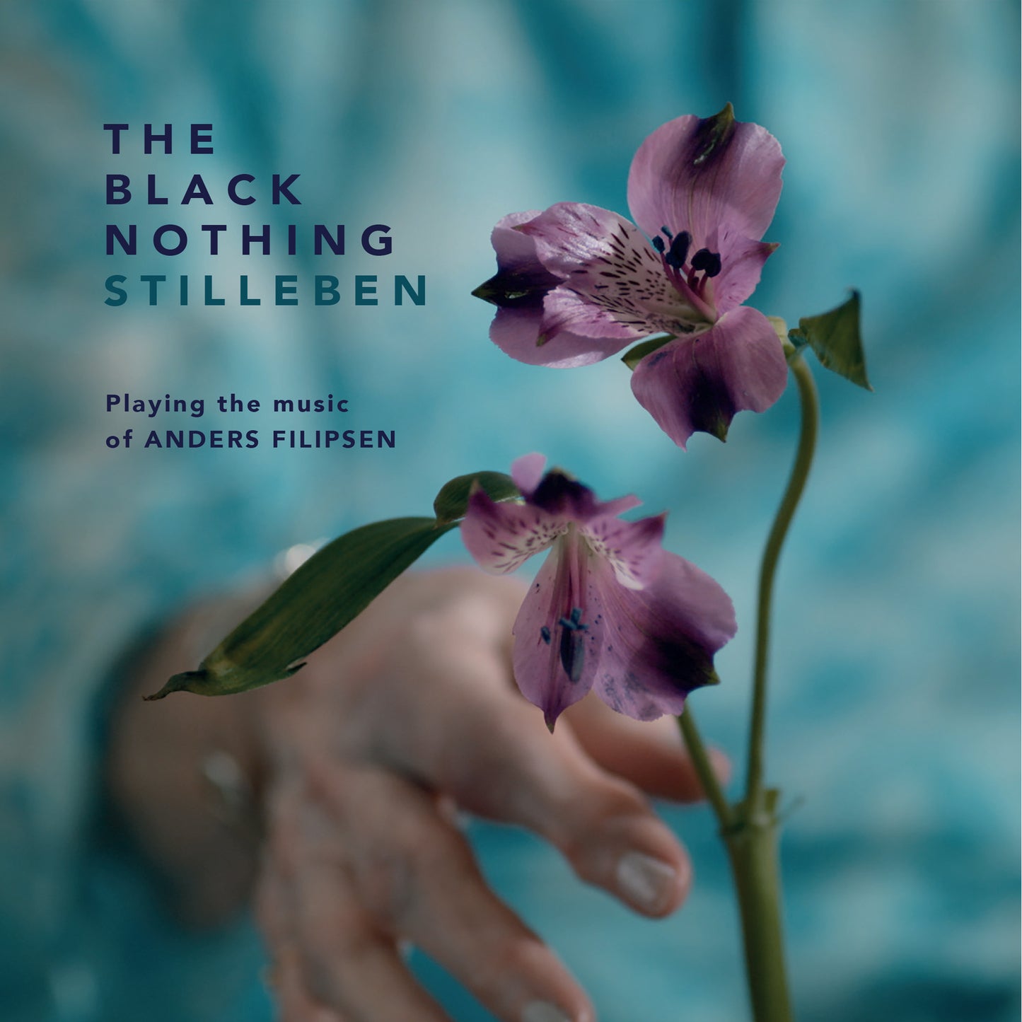 The Black Nothing - Stilleben