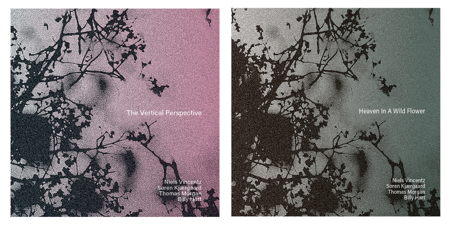 The Vertical Perspective & Heaven In A Wild Flower (2CD Bundle)